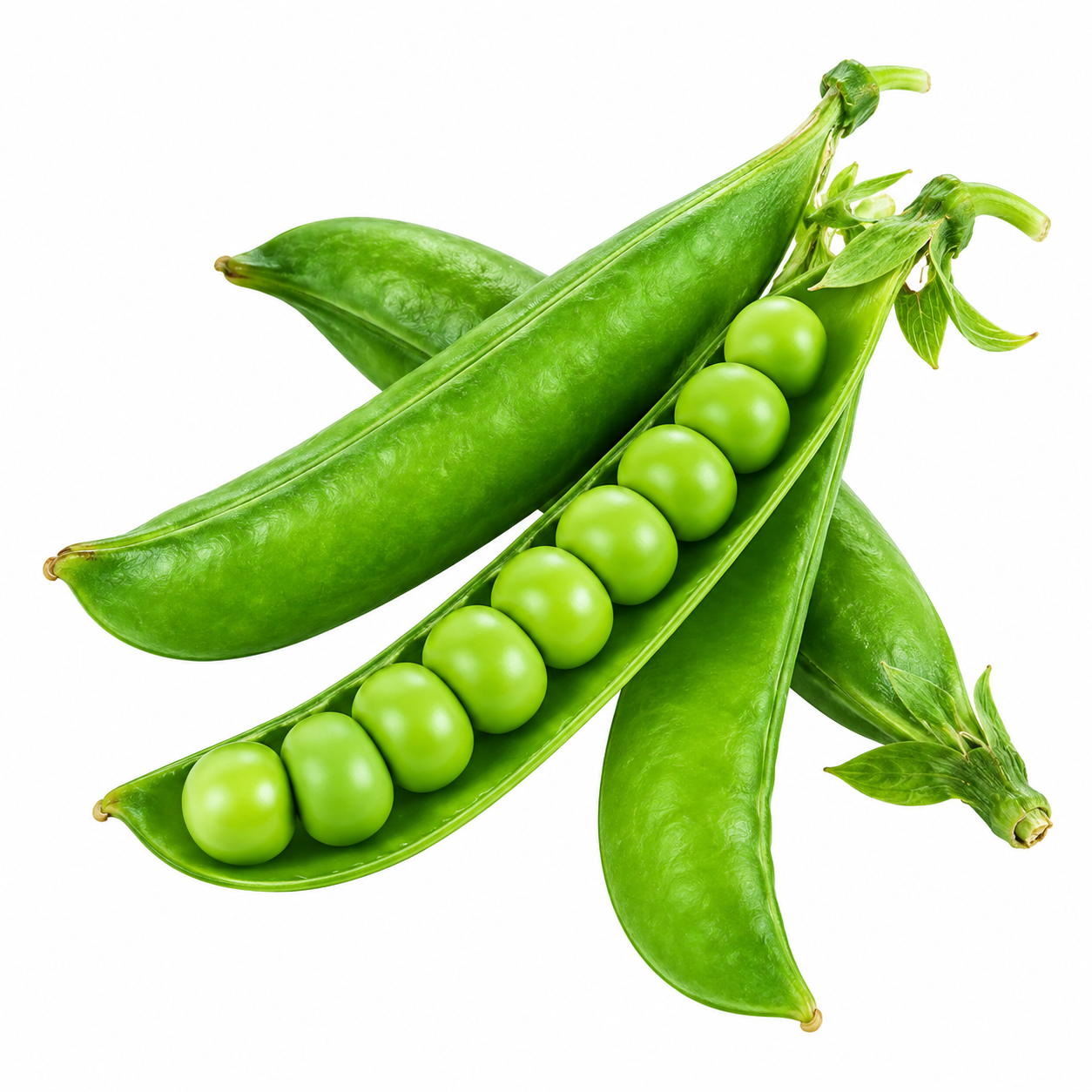 Peas - Meera