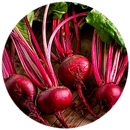 Beetroot - Ruby Queen