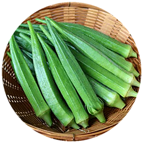 Okra - Maya