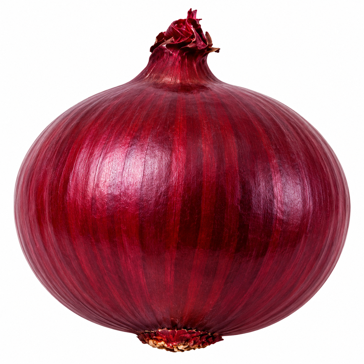 Onion - Annapurna (Black)