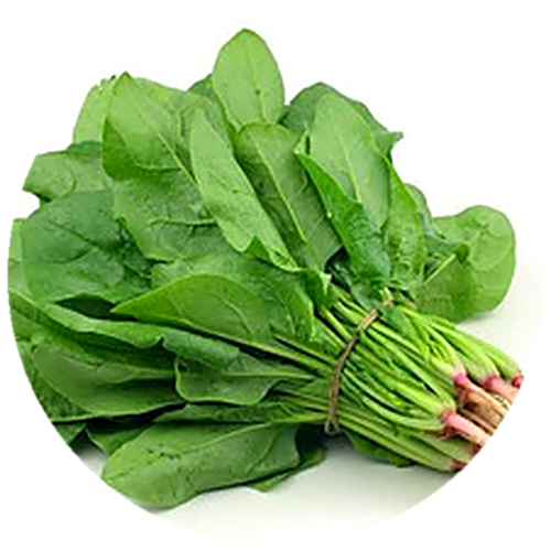 Spinach - Harita